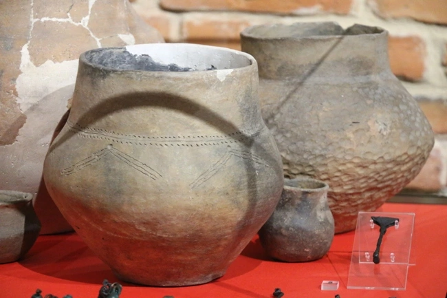 Wystawa "Archeo - Świat"