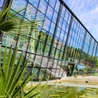 Śląskie. Osadzone z katowickiego Aresztu Śledczego będą pracowały w sosnowieckim Egzotarium 
