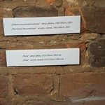Wystawa prac Mariusza Mikołajka w katedrze wrocławskiej