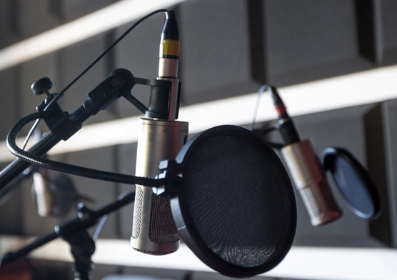 Podcast Roku 2024 to najważniejsze wydarzenie łączące twórców i fanów podcastów, a także przestrzeń do rozmów o przyszłości audio w Polsce.