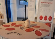 Wystwa Sploty w Zamku Cieszyn