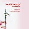 Namalować katolicyzm od nowa