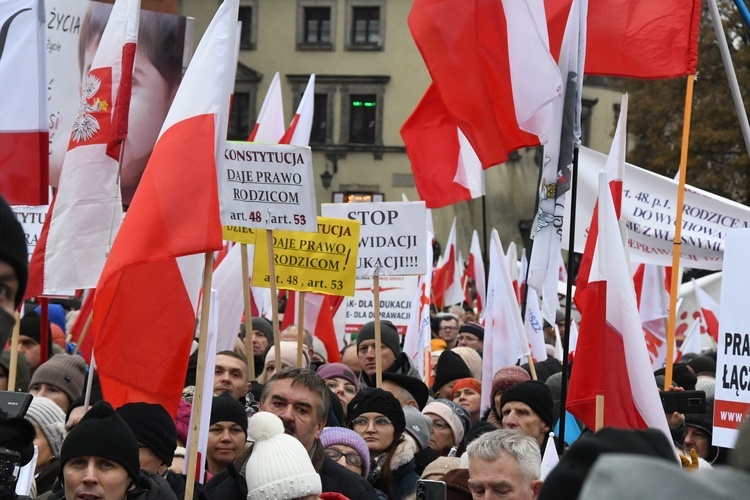 Wielka manifestacja w obronie dzieci