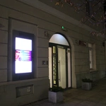 Płock. "Jesienna Chryzantema"