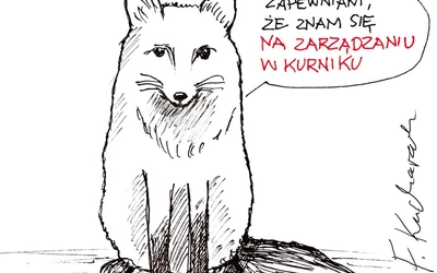 Taka prowokacja