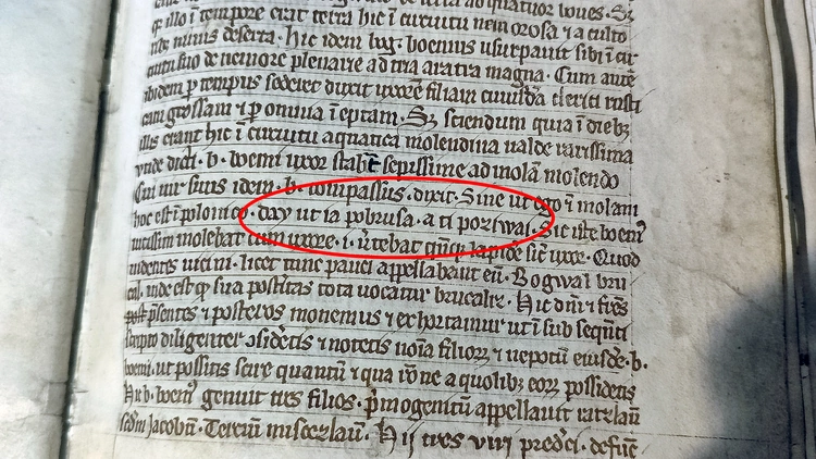 Najwierniejszą z wiernych kopii Księgi Henrykowskiej można wziąć do rąk