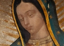 Carl Anderson, Eduardo Chávez – „Matka Boża z Guadalupe. Patronka cywilizacji miłości”