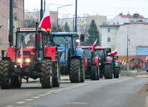 Podobnie jak w czasie lutowej manifestacji rolników jej przyczyną jest sprzeciw wobec polityki UE.