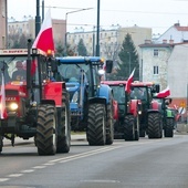 Podobnie jak w czasie lutowej manifestacji rolników jej przyczyną jest sprzeciw wobec polityki UE.