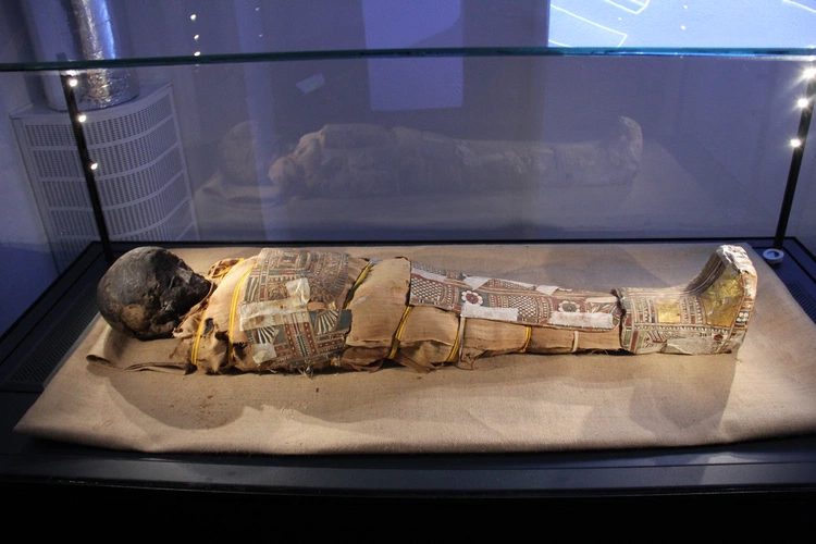 Muzeum archidiecezjalne we Wrocławiu w nowej odsłonie