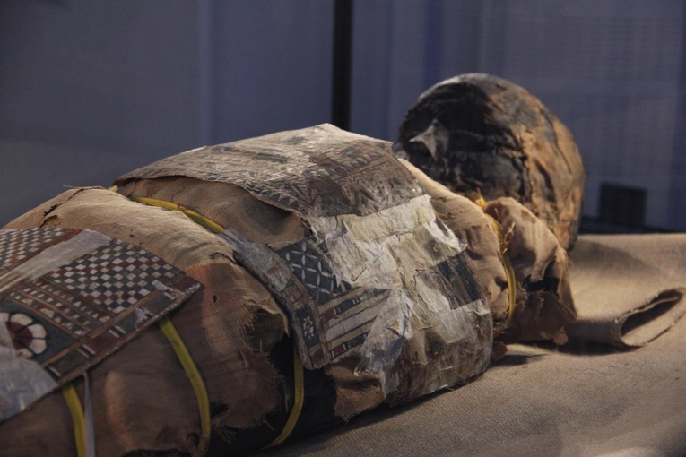 Muzeum archidiecezjalne we Wrocławiu w nowej odsłonie