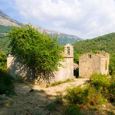 Korsyka