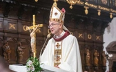 Ingres abp. Adriana Galbasa SAC, cz. II
