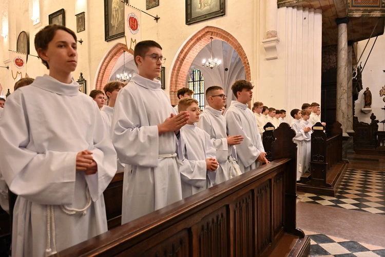 Mamy 83 nowych lektorów!