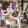 Przewodnicy poprowadzą chętnych w miejsca, w których można spotkać nie tylko Świętą Rodzinę, ale również poznać tradycje mieszkańców Warszawy.