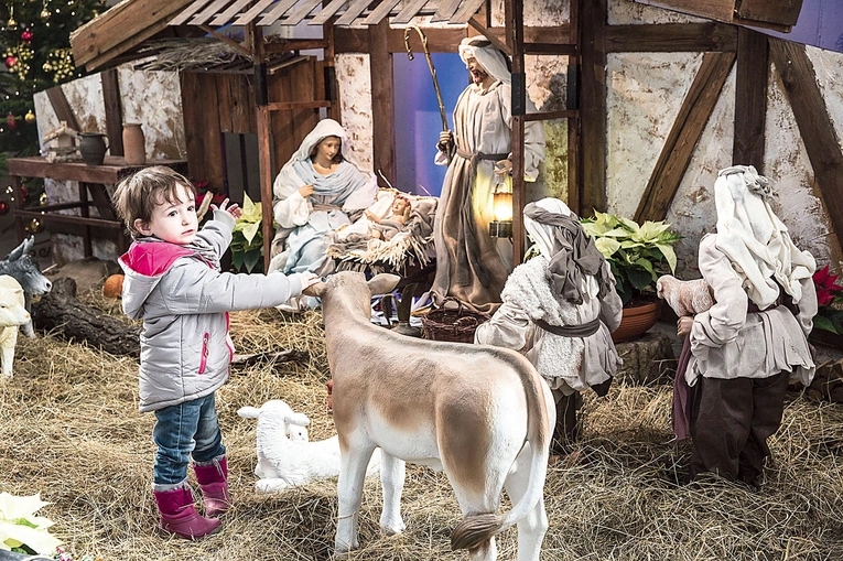 Przewodnicy poprowadzą chętnych w miejsca, w których można spotkać nie tylko Świętą Rodzinę, ale również poznać tradycje mieszkańców Warszawy.
