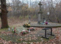 Chełm Śląski ze Smutną Górą