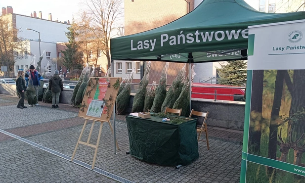 Katowice. Akcja “Choinka dla Życia”