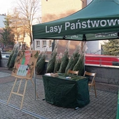 Katowice. Akcja “Choinka dla Życia”