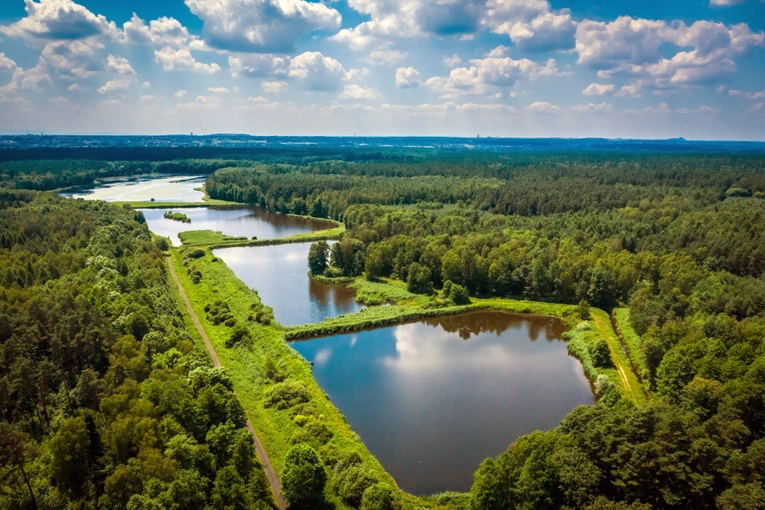 Laudato si.  Prawie jak na Mazurach – Pojezierze Palowickie
