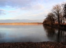 Laudato si. Chwalcie Pana ptactwo skrzydlate. Rezerwat Wielikąt