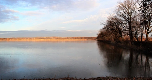 Laudato si. Chwalcie Pana ptactwo skrzydlate. Rezerwat Wielikąt