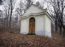 Od Matki Uśmiechniętej do Matki Bolesnej. Z modlitwą na Pszowskiej Kalwarii