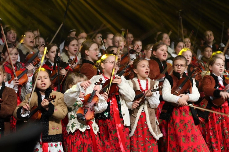 Choinka przy Franciszkańskiej 2024