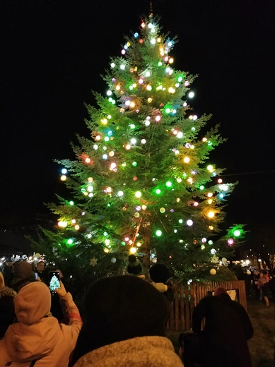 Choinka przy Franciszkańskiej 2024