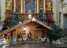 Parafia św. Franciszka Ksawerego w Krasnymstawie.
