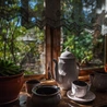 Spotkania z przyrodą: Widok z okna