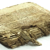 Anonimowy komentarz przed konserwacją.