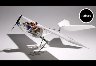Watch this bird-inspired robotic drone leap into the air