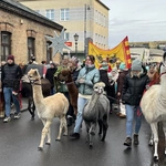 Orszak Trzech Króli 2025 - Sochaczew