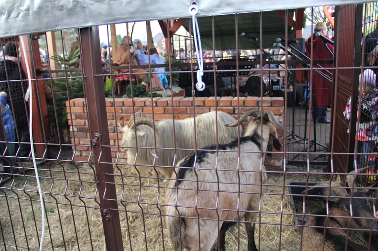 Orszak Trzech Króli z Nadolic Wielkich do Nadolic Małych 2025