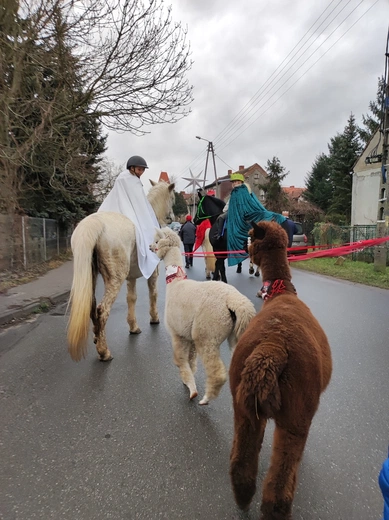 Orszak Trzech Króli w Mrozowie 2025