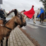 Orszak Trzech Króli w Mrozowie 2025