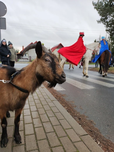 Orszak Trzech Króli w Mrozowie 2025