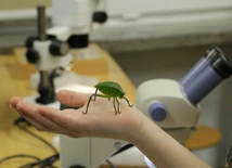 Nadchodzi Noc Biologów