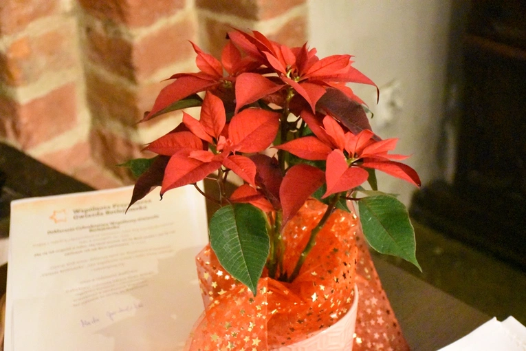 Srebrny jubileusz wspólnoty