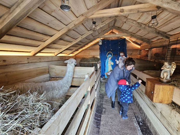 Żywa szopka w Niedźwiedzy