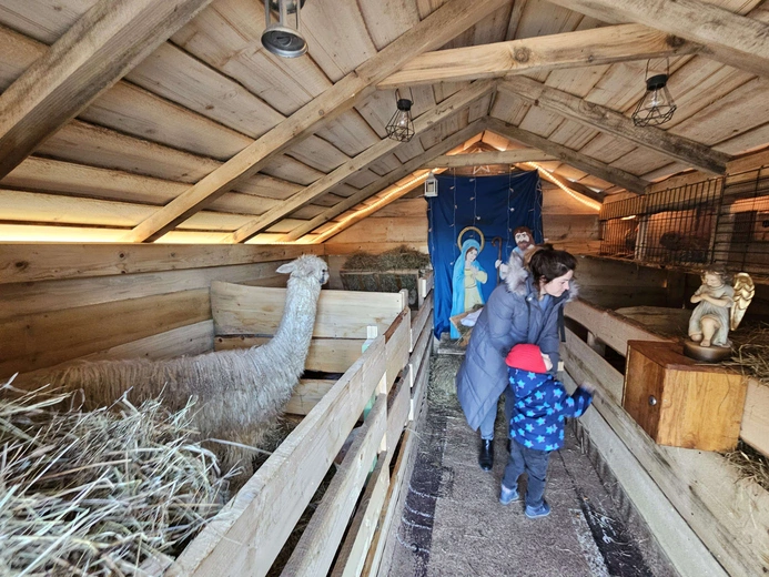 Żywa szopka w Niedźwiedzy