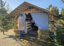 Żywa szopka w Niedźwiedzy