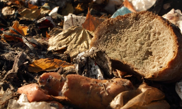 Walka z marnowaniem żywności jest na razie przegrana