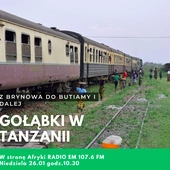 Gołąbki w Tanzanii, czyli z Brynowa do Butiamy i dalej