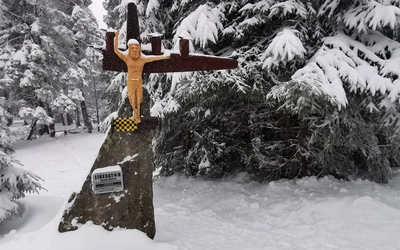 Gorce. Ku pamięci amerykańskich pilotów 