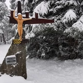 Gorce. Ku pamięci amerykańskich pilotów 