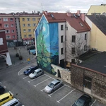 Raciborskie murale