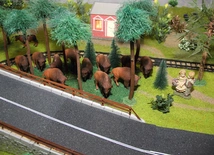 Szopka w Szczecinku cz. 2