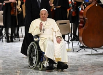 Franciszek podczas audiencji